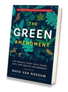 The Green Amendment Book